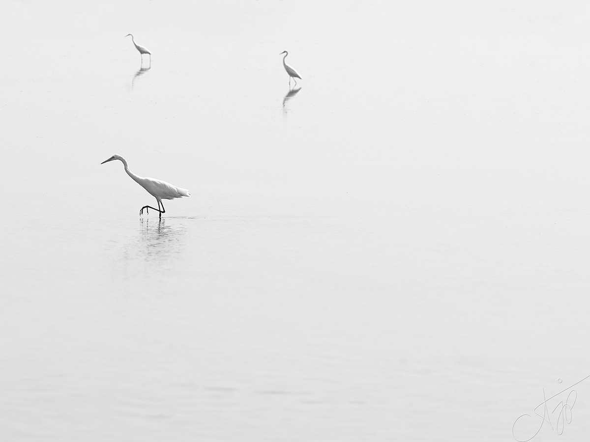 fine art-black-white-photography-aditya-j-pradeep-fame-hues-ajp-00005