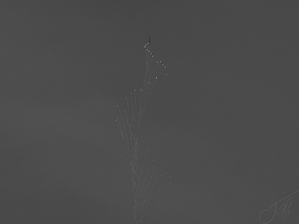 fine art-black-white-photography-iaf-air-show-aditya-j-pradeep-fame-hues-ajp-00003